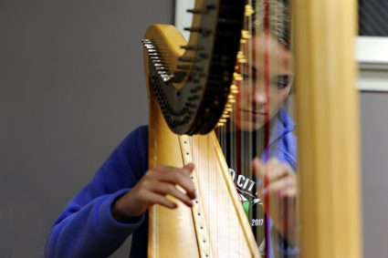 Harp Lessons | Community Music School Collegeville