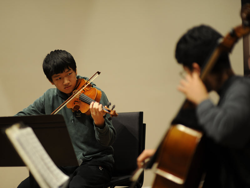 Violin Lessons Near Me